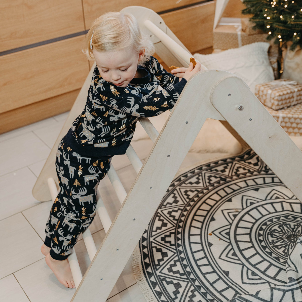 Triangle de Pikler 2 en 1 Montessori House Bed – vue 3