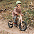 Kit descente pour draisienne leg&go 3 en 1