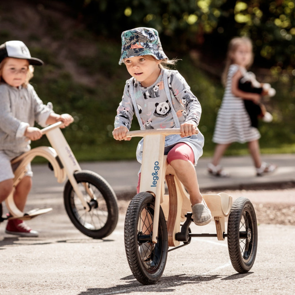 Kit tricycle pour draisienne leg&go 3 en 1 – vue 6