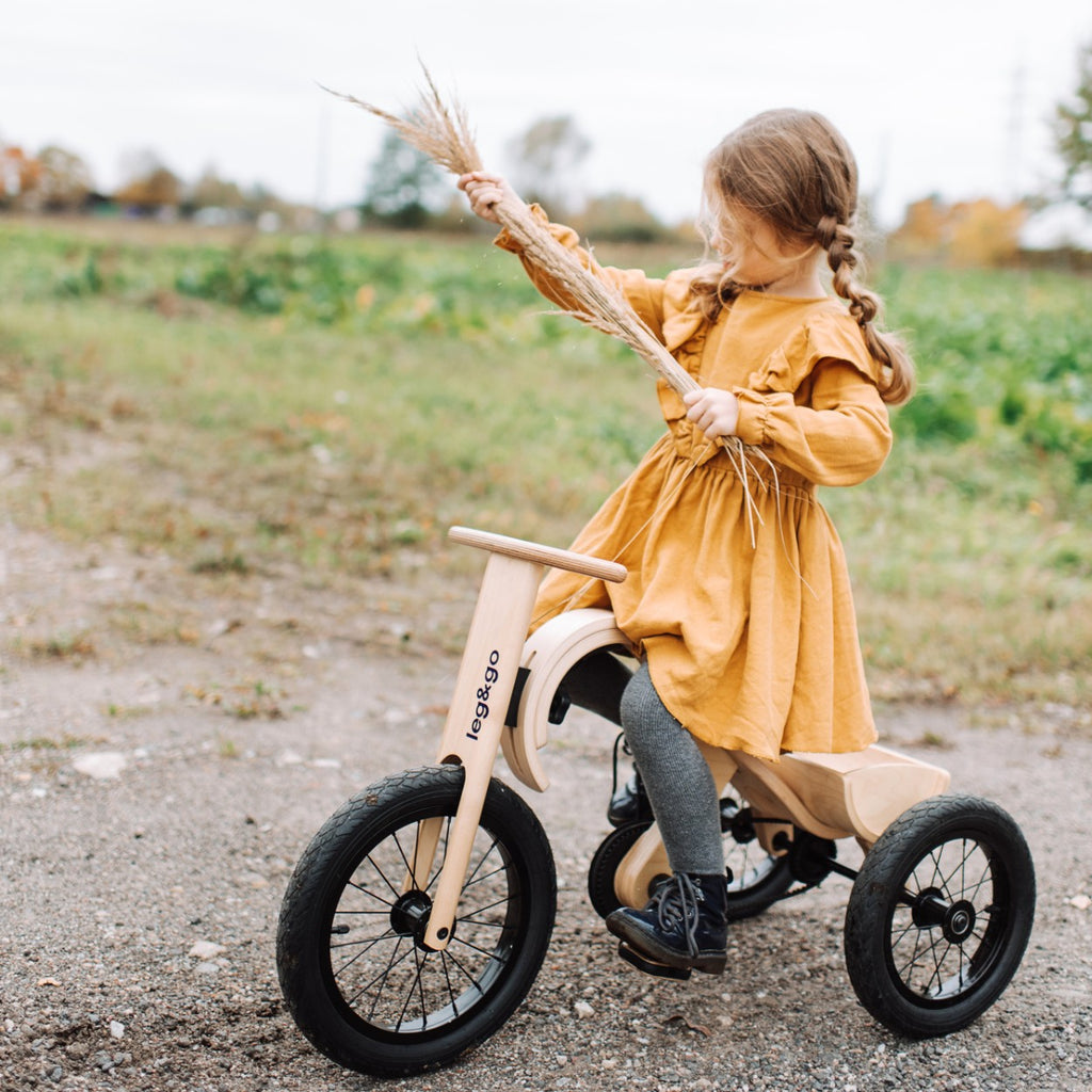 Kit tricycle pour draisienne leg&go 3 en 1