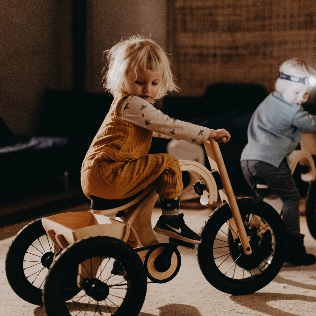 Kit tricycle pour draisienne leg&go 3 en 1 – vue 7