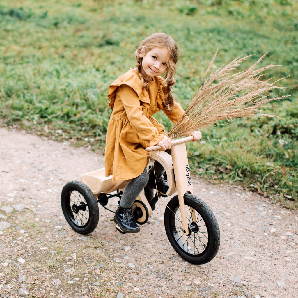 Kit tricycle pour draisienne leg&go 3 en 1 – vue 4